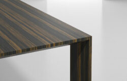 Exotic ebony wood table