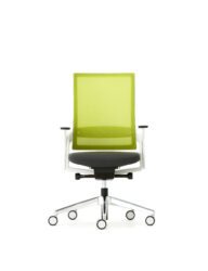 Green Mesh White Grey Desk Chair