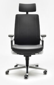 Headrest Option