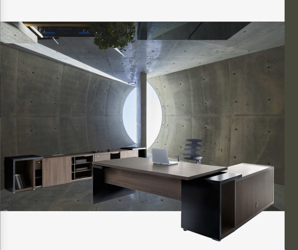 Ultra Modern Sit Stand L Desk