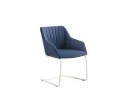 Blue S Chair