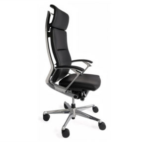 Executive Platinum Chair