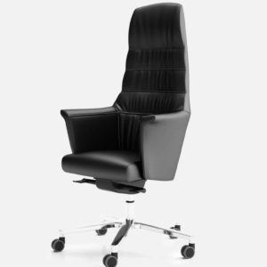 Ambassador Chair Side View