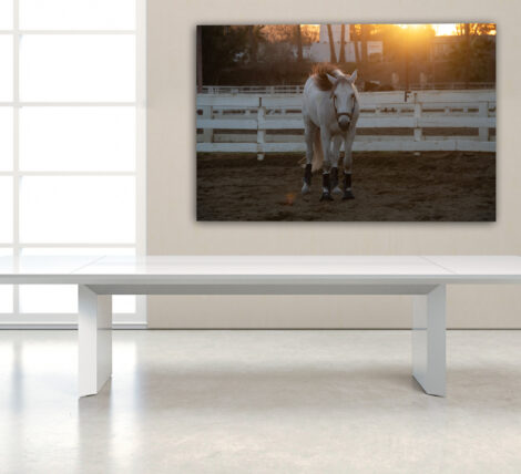 Soaring Flight Glass Table