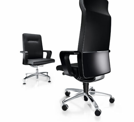Ambience Dore Modern Office Furniture, Fancy Office Chairs Suppliers