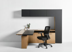 Executive Sleek Modern Office Solo Executive Sit Stand Desk